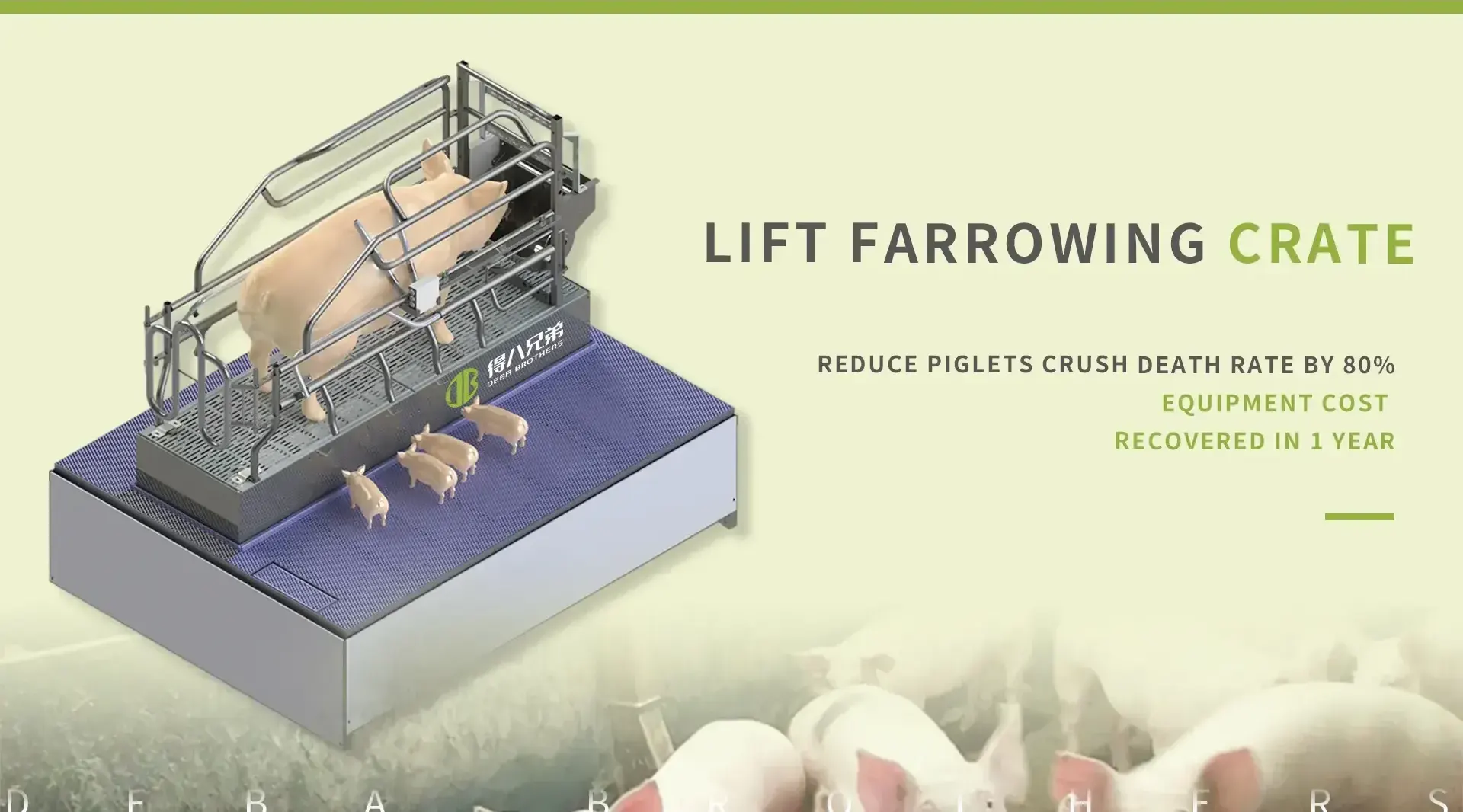 China Lift Farrowing Crate โรงงาน