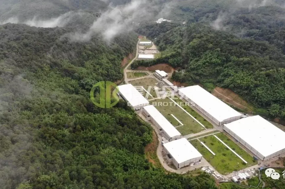 บทสัมภาษณ์พิเศษกับ âPIG FARM POWER NETWORKâ - CEO of Deba Brothers