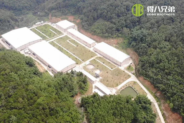 ãระบบการให้อาหารเหลวãGuangdong Zhaoqing 20,000 ขุน 10,000 ฟาร์มสุกรหย่านม