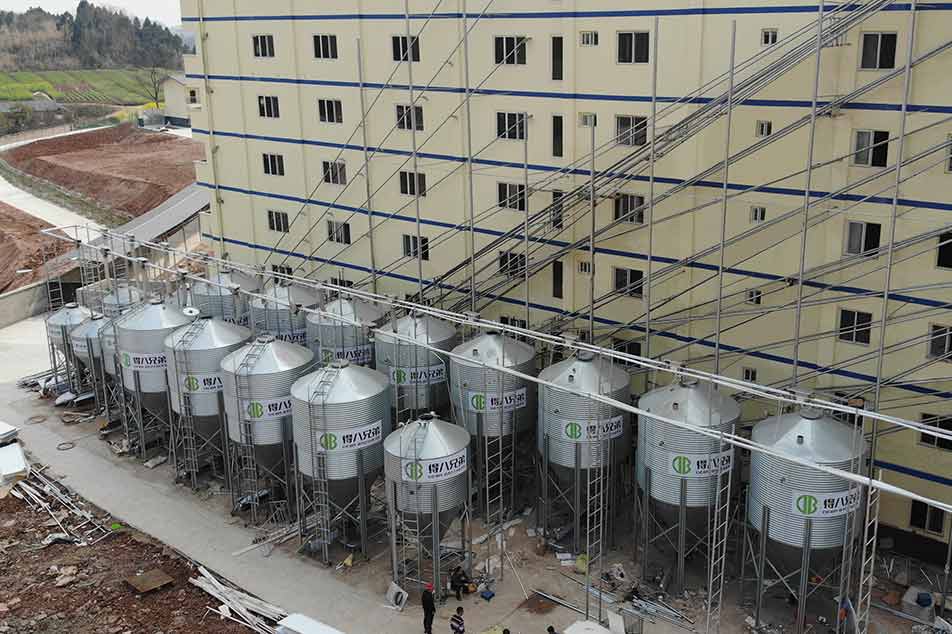 พลิกโฉมการทำฟาร์มสุกรของคุณด้วย Deba Brothers® Automatic Feeder for Pigs