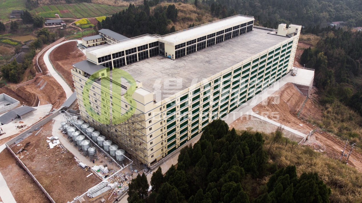 วิธีการปรับปรุงคุณภาพสิ่งแวดล้อมในการออกแบบฟาร์มสุกรสมัยใหม่