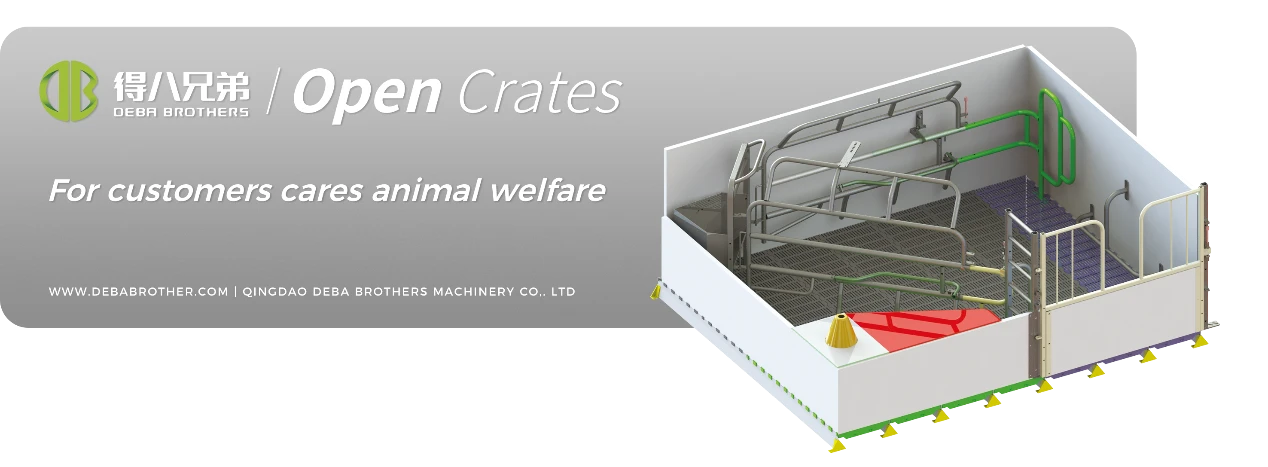 เตียงแม่สุกรแบบเปิดของ DEBA Brothers ได้รับการยอมรับทั่วโลกในด้านการออกแบบที่ใช้งานง่าย