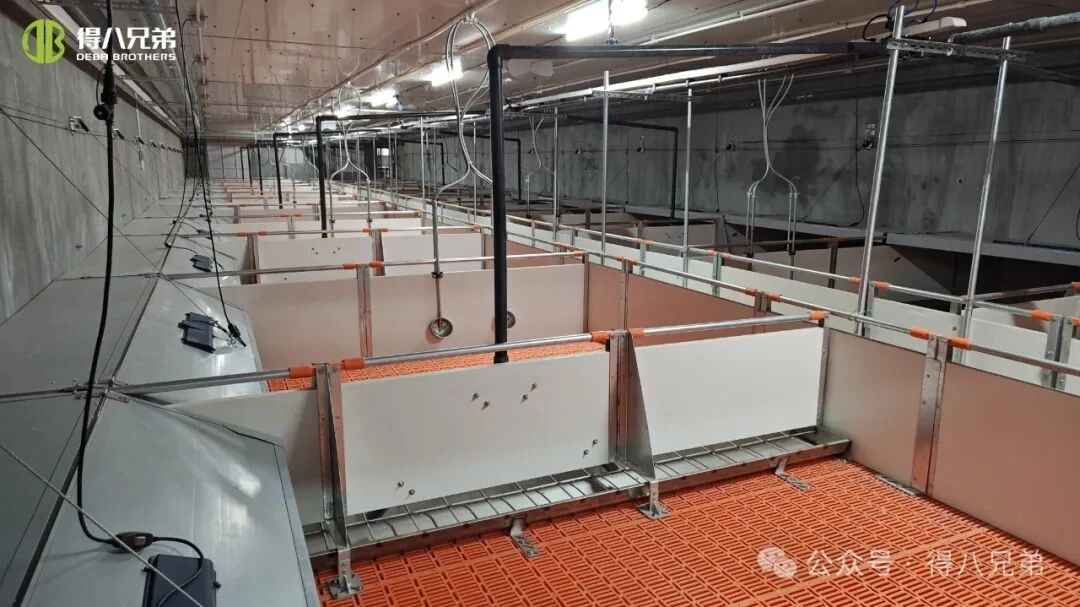 การป้องกันและการจัดการความเครียดจากความร้อนในฟาร์มสุกรในช่วงอากาศร้อน